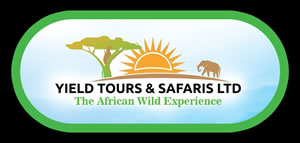 safari tanzania o kenya