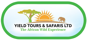 african safaris kenya tanzania
